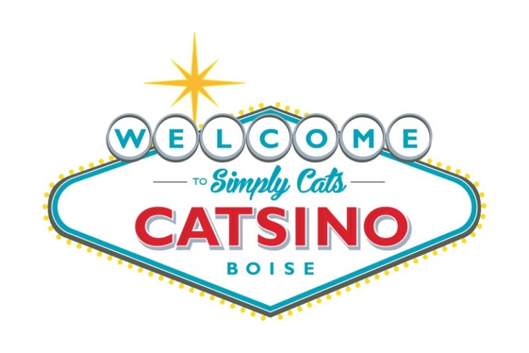CATSINO REVIEW