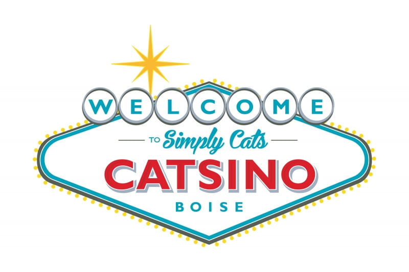 CATSINO REVIEW