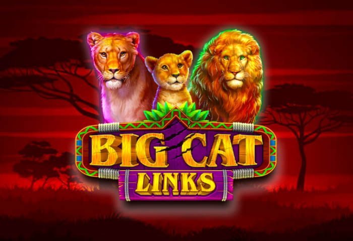 New Slot: 25 Free Spins on ‘Big Cat Links’ at Slotocash