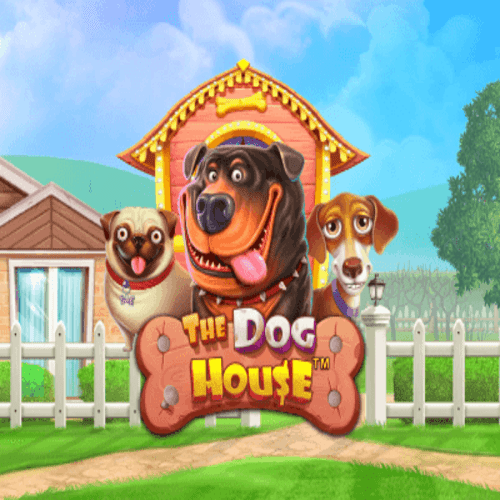 160 Free Spins at Cat Casino