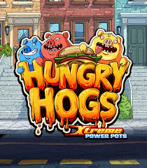 65 Free Spins on ‘Hungry Hogs’ at Coinbets
